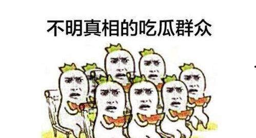 吃瓜群众抢盐视频在线观看,吃瓜群众在线观看抢盐视频背后的疯狂现象