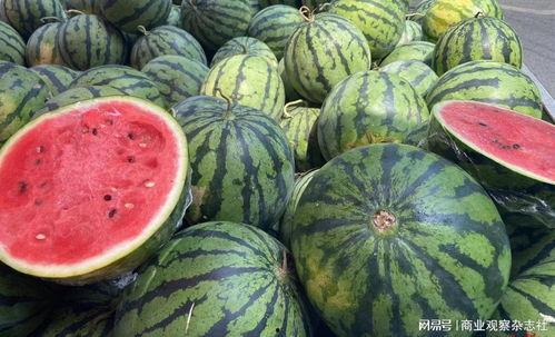 纯元的吃瓜视频,娱乐圈幕后真相大曝光