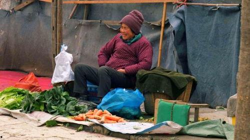 青海吃瓜老汉视频全集,趣味横生的乡村生活全景