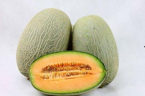 新疆小伙吃哈密瓜视频大全,视频大全带你领略瓜果飘香