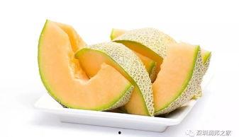 三只小猪吃哈密瓜视频,趣味互动萌翻网友